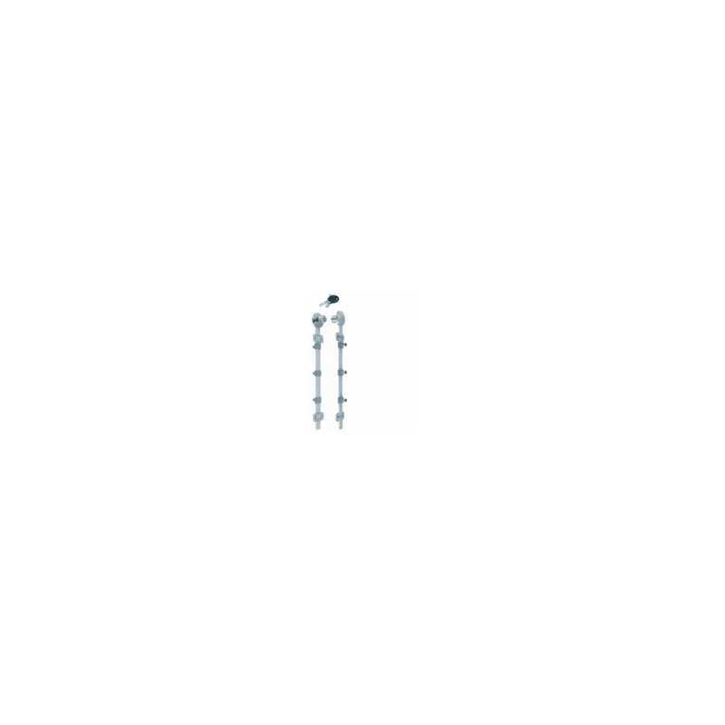 Side-Mounted Container Lock